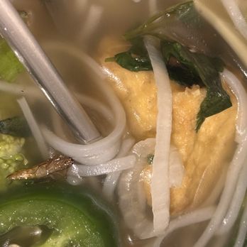 Kim Phung Restaurant - Vegetable pho - Vietnamese Near Me - Austin, Texas Kim Phung Restaurant - Vegetable pho - Vietnamese Near Me - Austin, Texas