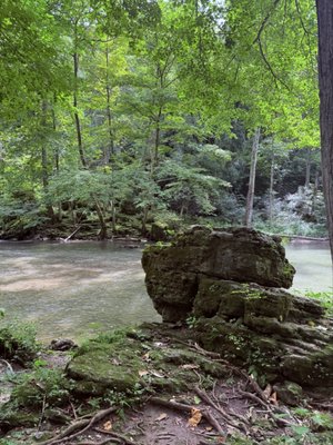 Clifton Gorge State Nature Preserve by null