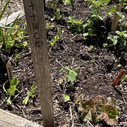 Kilbourn Park & Organic Green House