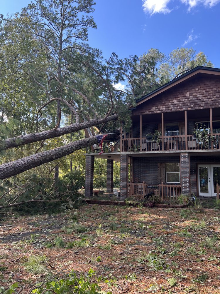 Bigsby’s Tree Experts - tree service in Augusta, GA