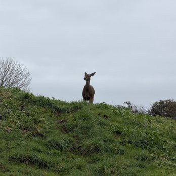 Fort Worden State Park - Parks Near Me - Port Townsend, Washington Fort Worden State Park - Parks Near Me - Port Townsend, Washington