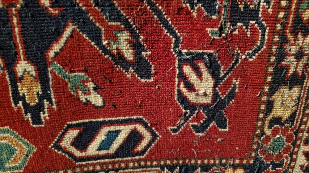 CARAVAN RUGS CLEANING Updated September 2024 26 Photos & 39 Reviews
