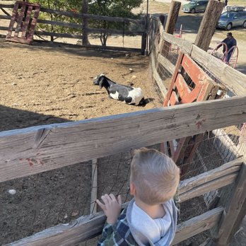 Rileys At Los Rios Rancho - Fruits & Veggies Near Me - Oak Glen, California