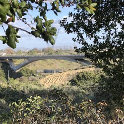 Henry G Fenton Memorial Bridge - The bridge
