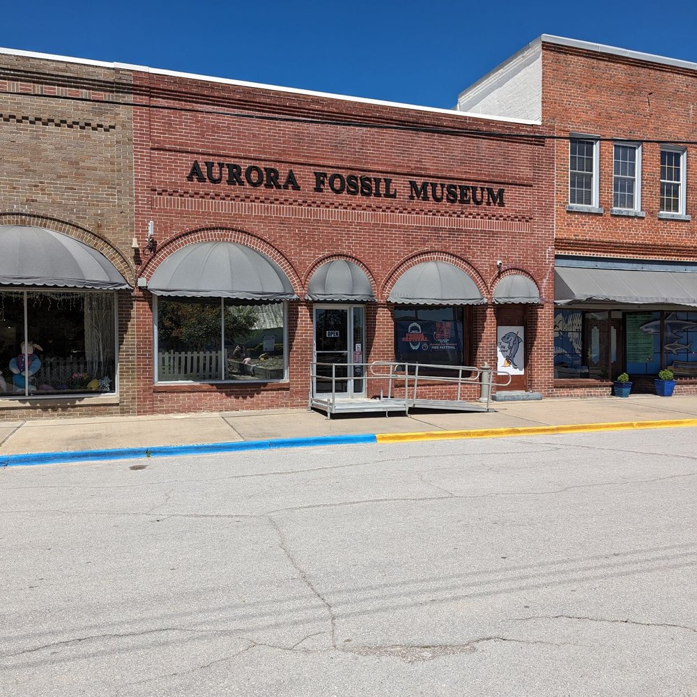 Aurora Fossil Museum - Museums Near Me - Aurora, North Carolina