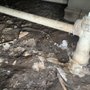 Photo of Williamson Plumbing