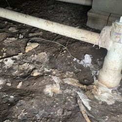 Williamson Plumbing - Fecal matter and toilet paper from overflow due to incompetence!