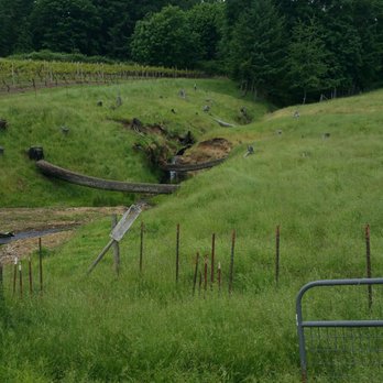Ankeny Vineyard - Creek on the hike. - Wineries Near Me - Salem, Oregon