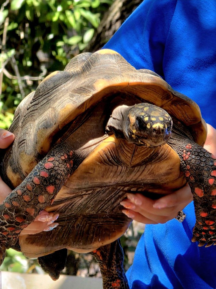 Texas Sealife Center - social services organization in Corpus Christi, TX