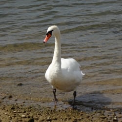 Hanningfield Reservoir Visitor Centre