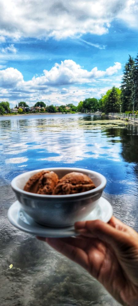 CANAL RITZ RESTAURANT - 29 Photos & 51 Reviews - 375 Queen Elizabeth ...