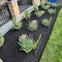 Richardson’s Landscaping & Property Management