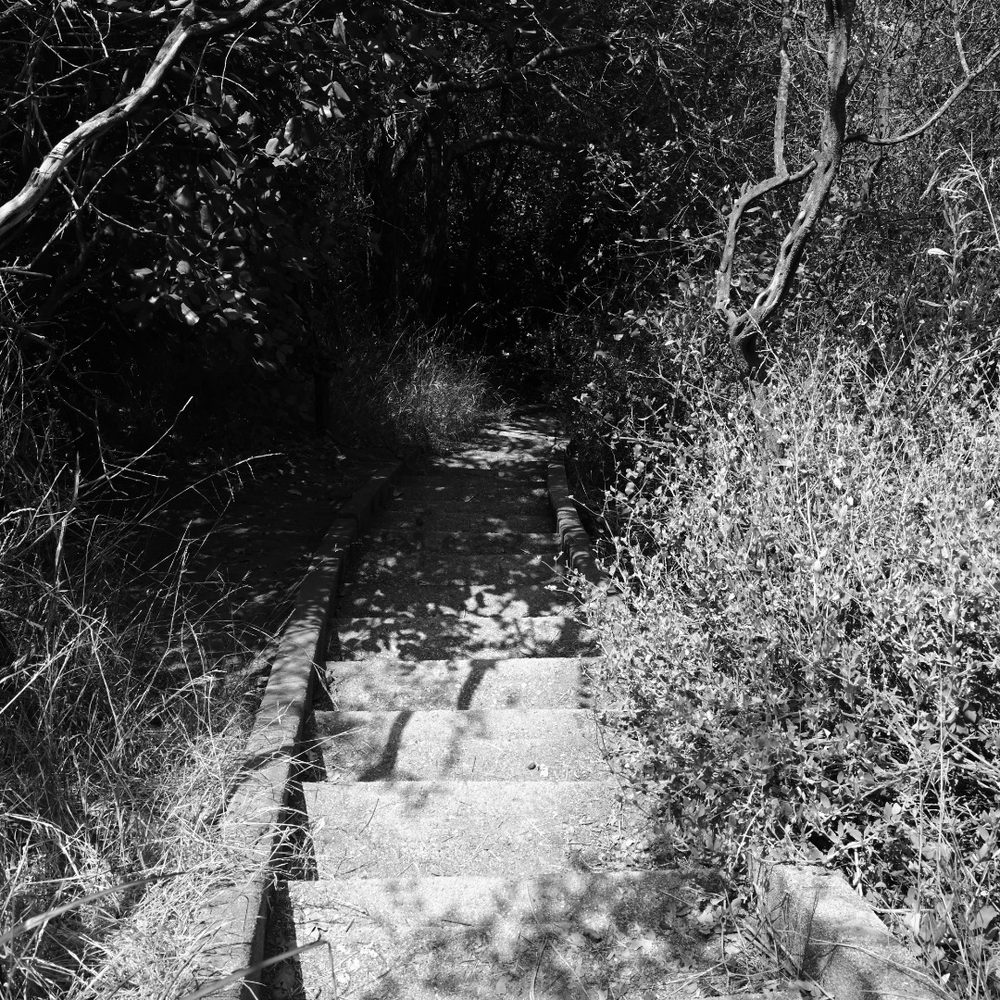 Murphy Ranch Trail - Hiking Near Me