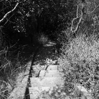 Murphy Ranch Trail - Hiking Near Me