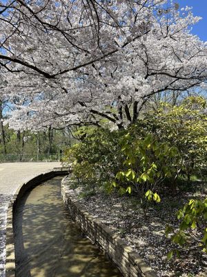 Ashikaga Flower Park by null