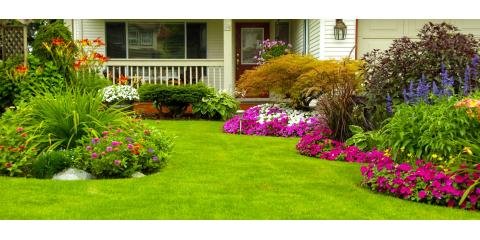 Slide of Nature Plus Lawn & Irragation
