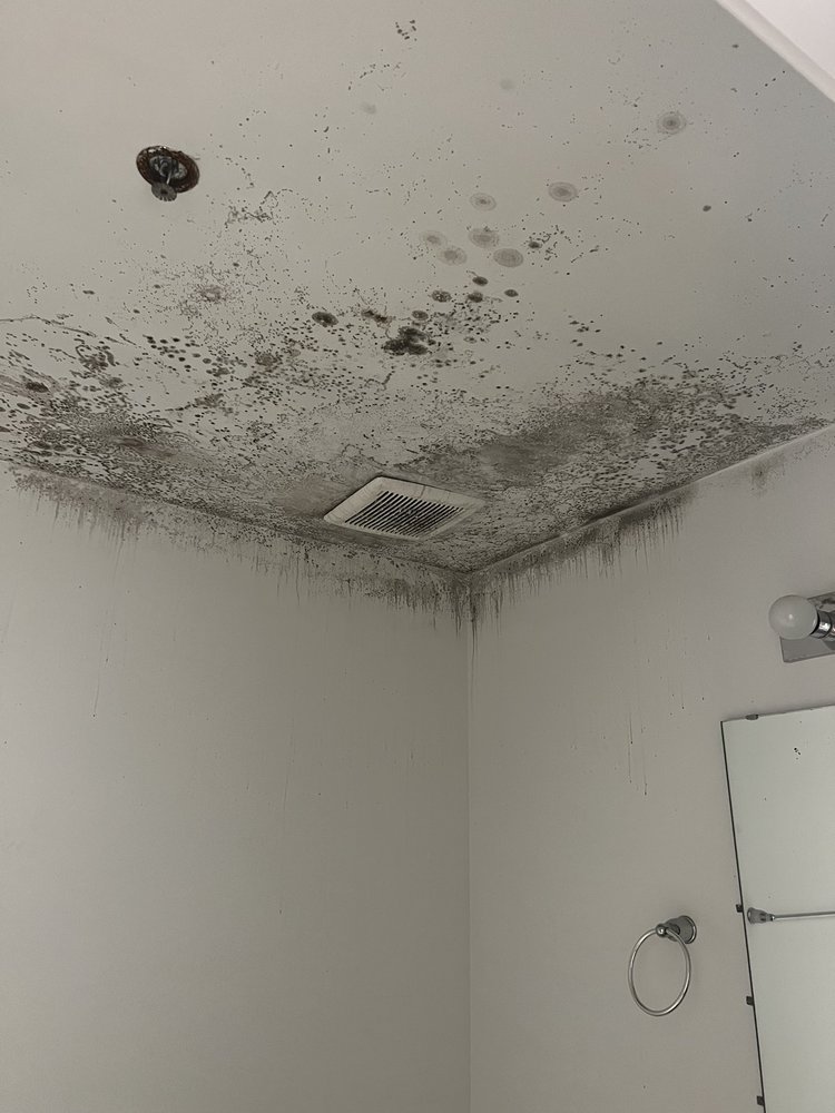 61 VANDY Updated October 2024 32 Photos & 11 Reviews 61 Vanderhorst St, Charleston, South