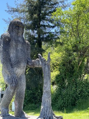 North Fork Survivors by null