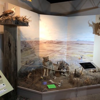Etzikom Museum - Museums Near Me - Etzikom, Alberta