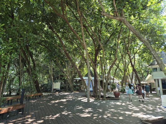 Green Island Resort by null