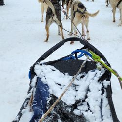 Bear Ridge Adventures - Starting of a sled tour from the passengers view