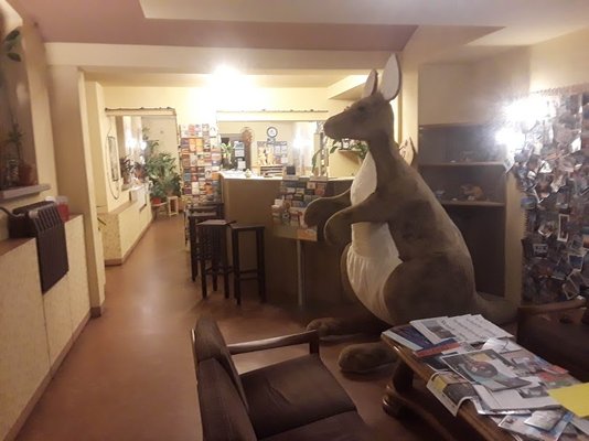 Kangaroo-Stop by null