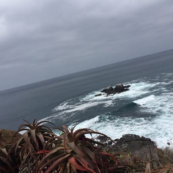 Crescent Bay Point Park - Marine life - Parks Near Me - Laguna Beach, California