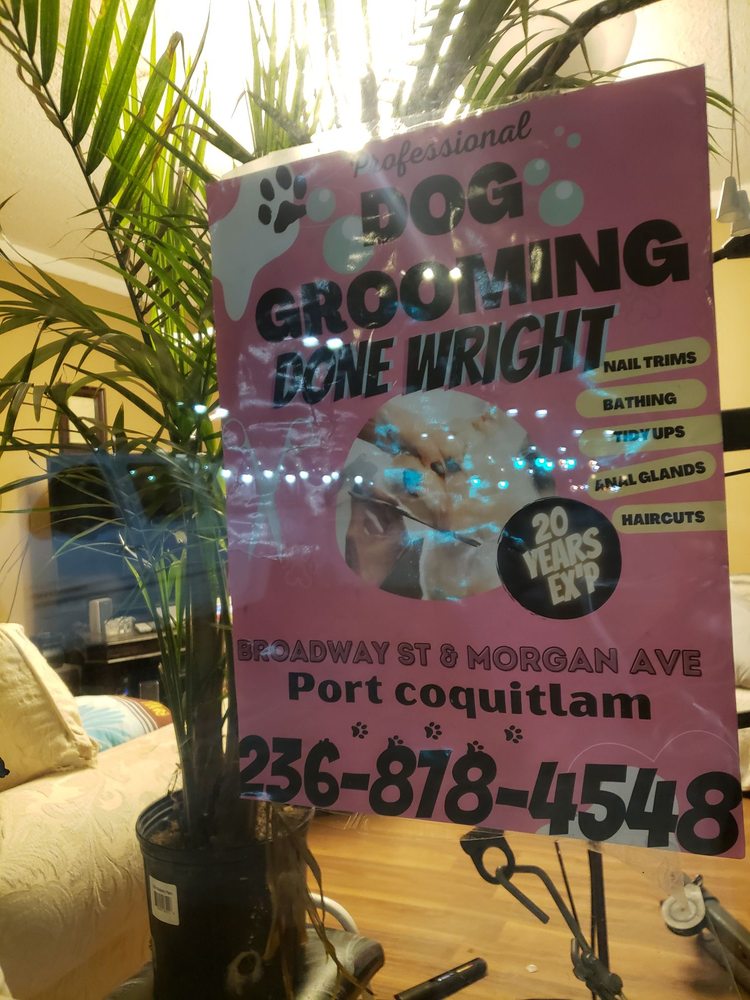 GROOMING DONE WRIGHT Updated July 2024 14 Photos Port Coquitlam