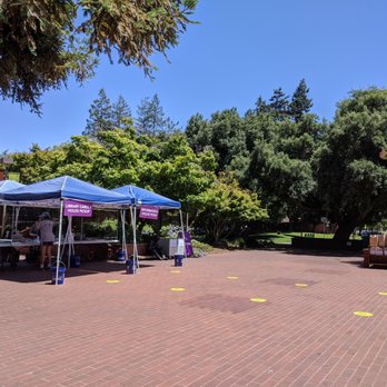 Sunnyvale Public Library - Sidewalk service with proper social distancing to avail of library services - Libraries Near Me - Sunnyvale, California Sunnyvale Public Library - Sidewalk service with proper social distancing to avail of library services - Libraries Near Me - Sunnyvale, California