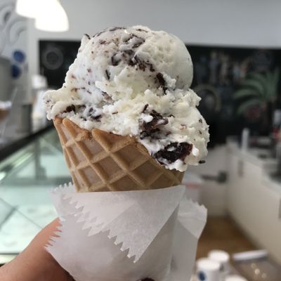 Bianco Gelato Coconut Grove by null
