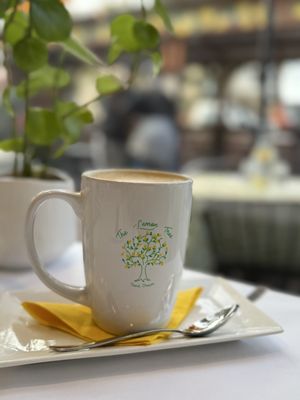 The Lemon Tree by null