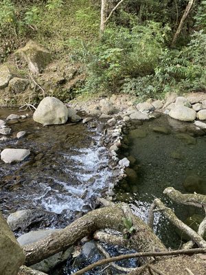 ʻĪao Valley State Monument by null