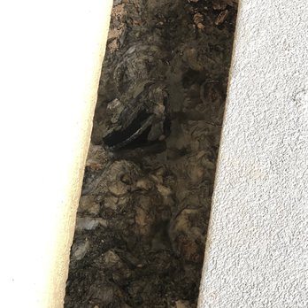 Fast Rooter Plumbing - The drain! - Plumbing Near Me - Honolulu, Hawaii Fast Rooter Plumbing - The drain! - Plumbing Near Me - Honolulu, Hawaii