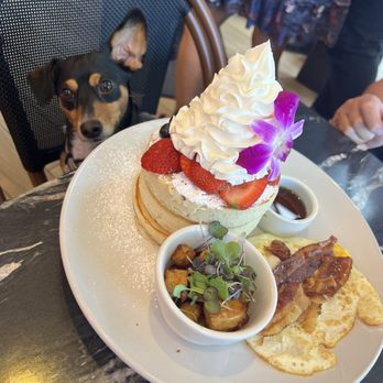 MIAM Cafe - Miam Pancakes - Breakfast & Brunch Near Me - Miami, Florida