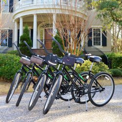 Alligator Bike