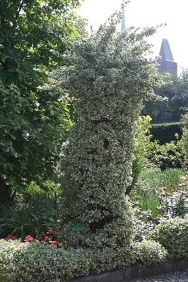 Botanical Garden of the University of Wrocław by null