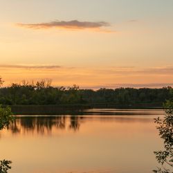 Beck Lake Forest Preserve - Nature - Skyline