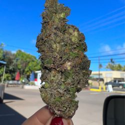 Green Aloha +Dispensary - Gelly Biscuits
