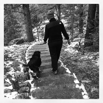 Elk Meadow Park - Stairs! - Dog Parks Near Me - Evergreen, Colorado
