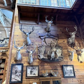 Bass Pro Shops - Decor of inside - Outdoor Gear Near Me - Manteca, California