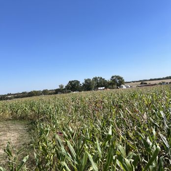 Pumpkin's Galore - Corn maze - Farmers Market Near Me - Wright City, Missouri