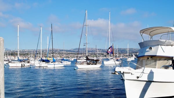 Davey's Locker Whale Watching & Sportfishing by null