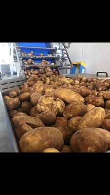 Woody Creek Distillers by null