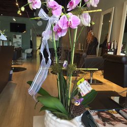 Lavish Salon