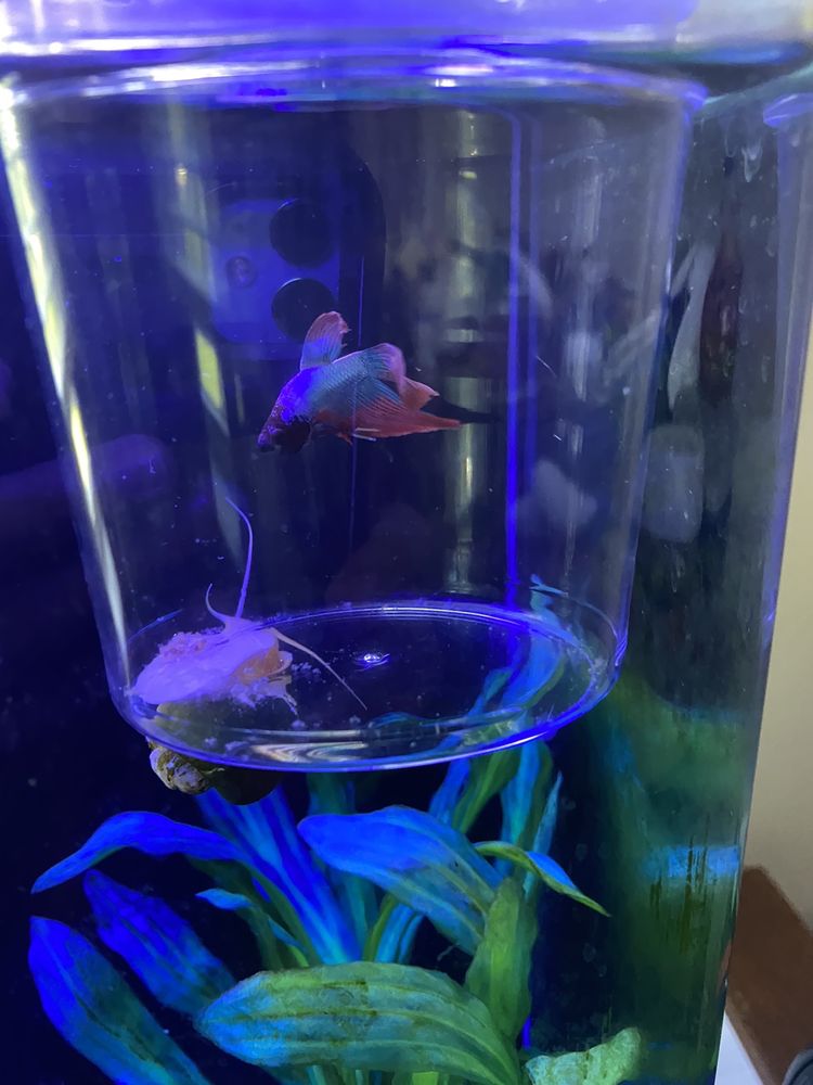 NOAH’S ARK PET SHOP 16 Photos 4319 Hartley Bridge Rd, Macon