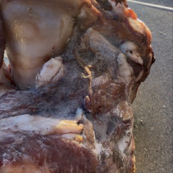 Howard's Meat Center - Completely molded dog bone - Meat Shops Near Me - Klamath Falls, Oregon Howard's Meat Center - Completely molded dog bone - Meat Shops Near Me - Klamath Falls, Oregon