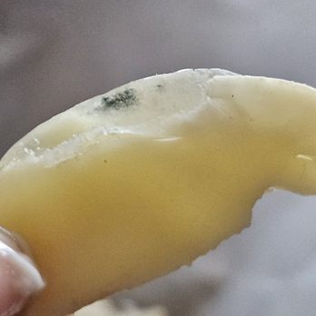 Shah's Deli - Green mold on the edge of a slice of provolone cheese. - Delis Near Me - Jackson Heights, New York Shah's Deli - Green mold on the edge of a slice of provolone cheese. - Delis Near Me - Jackson Heights, New York