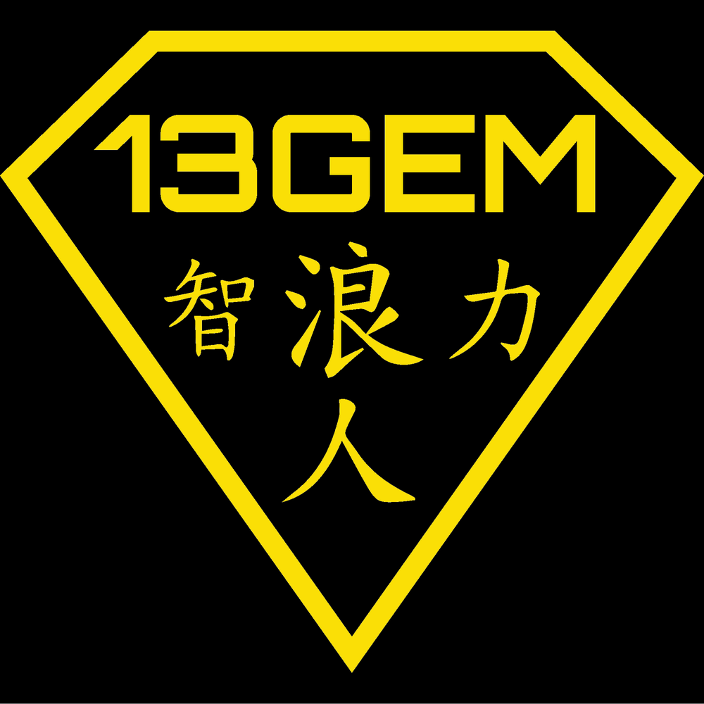13 Generations Educational Mission Logo
