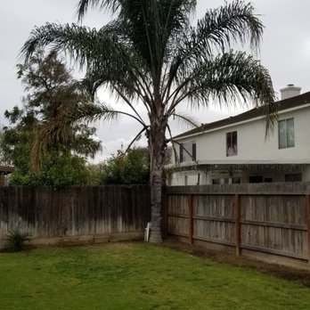 Travis Tree Service - Before photo - Tree Services Near Me - Fresno, California Travis Tree Service - Before photo - Tree Services Near Me - Fresno, California