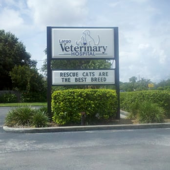 Largo Veterinary Hospital - Veterinarians Near Me - Largo, Florida